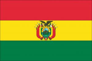 Read more about the article Die Wahl von Evo Morales – Bolivien