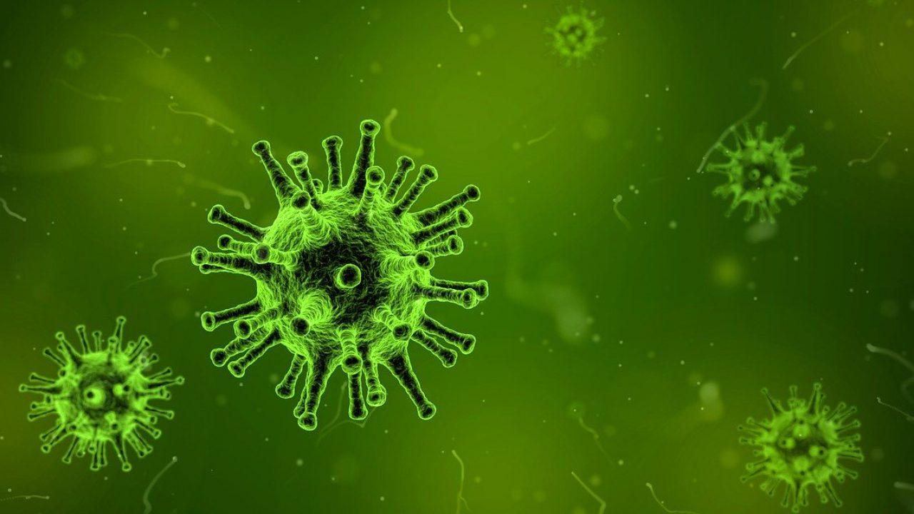Keine Panik – Vogelgrippe, H5N1, Impfen, AIDS – Interview