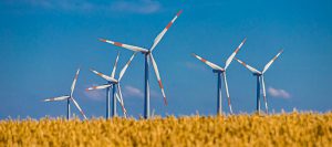 Read more about the article Das schmutzige Geschäft mit Neodym und Thorium – Windkraft